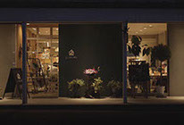 イルカトラグリルPV